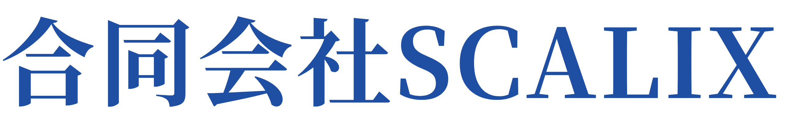合同会社SCALIX